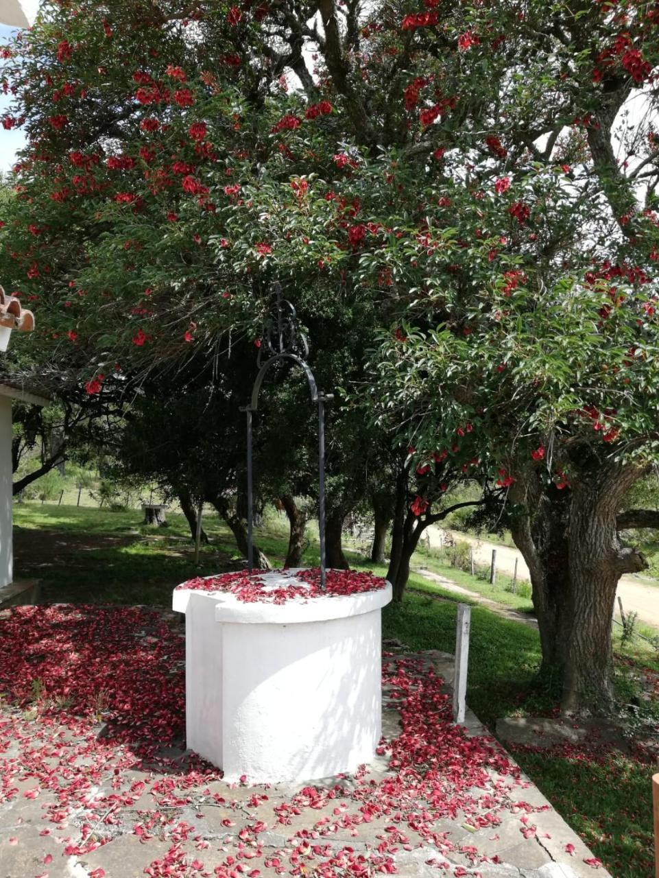 La Calaguala Hotel Punta del Este Zewnętrze zdjęcie